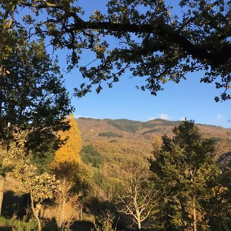 La Rocca Di Febbre