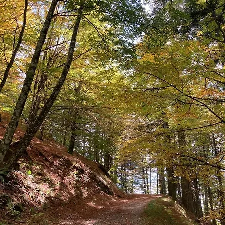 度假居 La Rocca Di Febbre 普拉托韦基奥